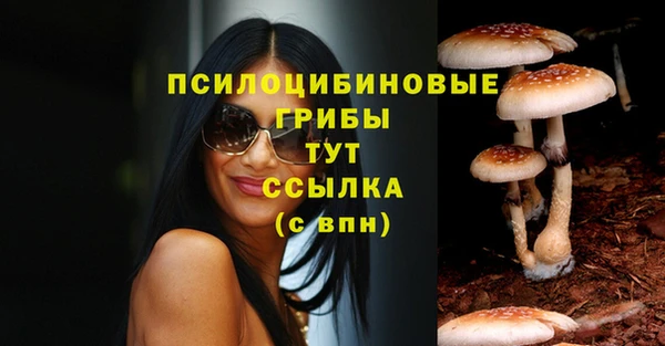 индика Вязники