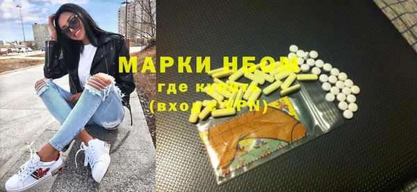 индика Вязники