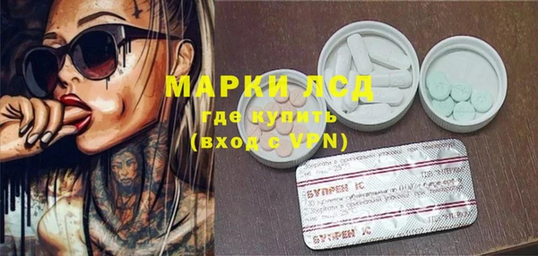 индика Вязники