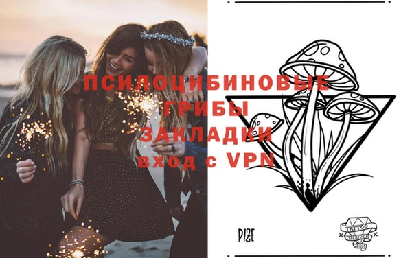 ешки Вязьма