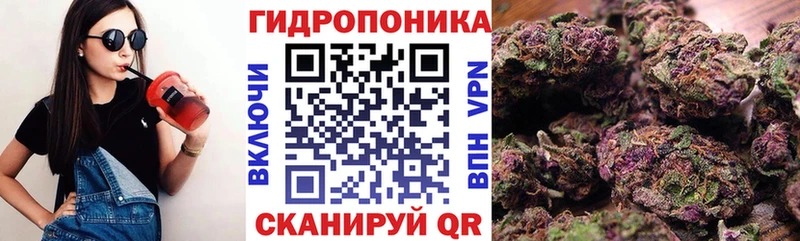 Шишки марихуана гибрид  Купить закладки  Курлово 